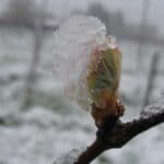 changement climatique