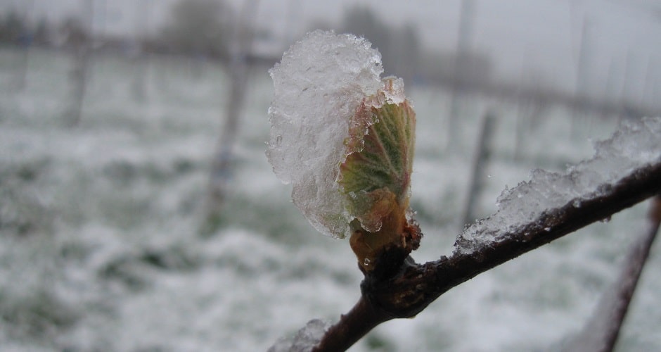 changement climatique